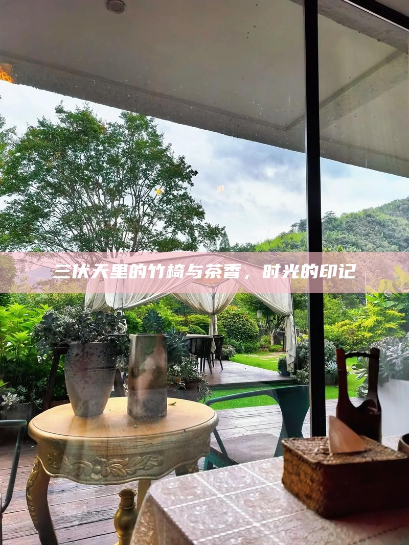 三伏天里的竹椅与茶香，时光的印记